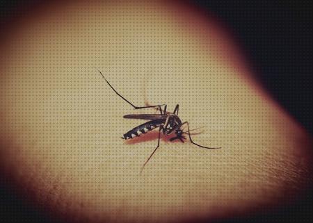 Los 38 Mejores antimosquitos diurnos