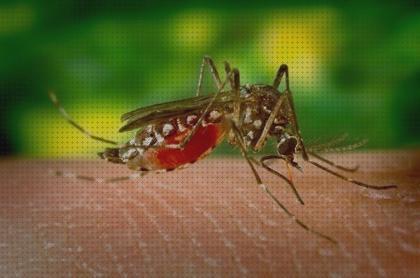 Review de los 25 mejores antimosquitos zika a la venta
