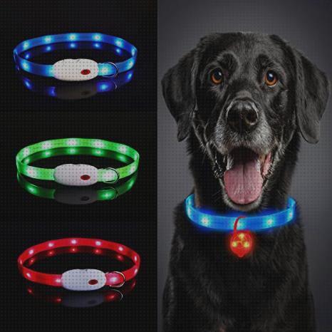 Review de collar peroo led