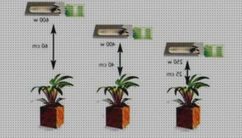 ¿Dónde poder comprar Más sobre foco crazyfire Más sobre comprarme una lampara chula Más sobre linterna ultravioleta 400 lm foco 600w crecimiento y floracion?