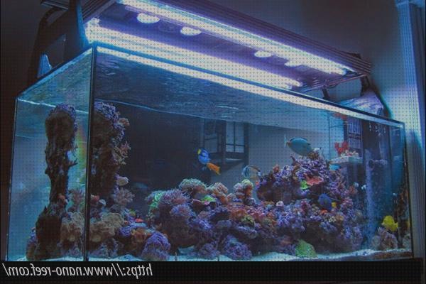 Las mejores marcas de lampara acuario lampara linterna lampara acuario marino 1 metro