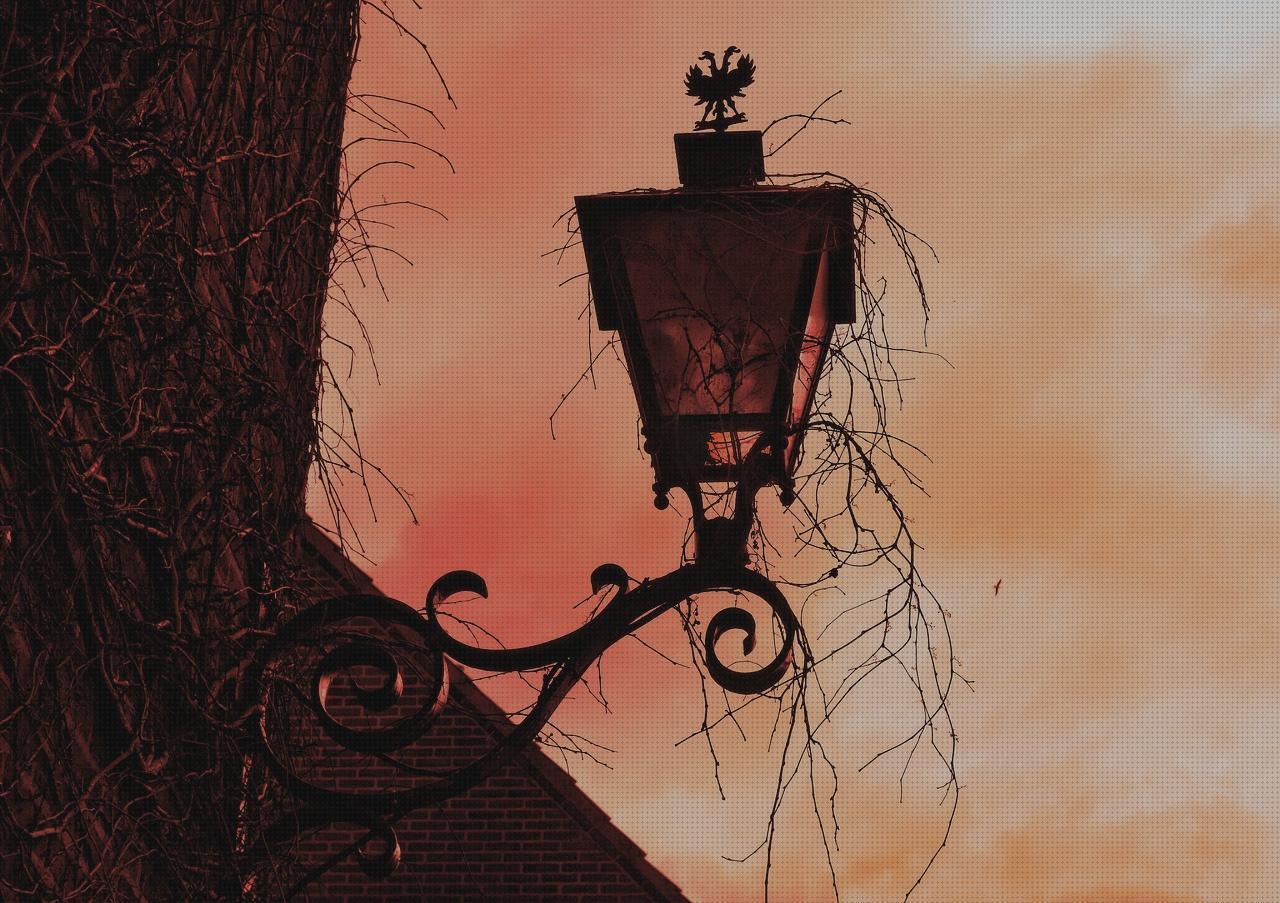¿Dónde poder comprar Más sobre lámpara matamoscas lampara linterna lampara clásica?
