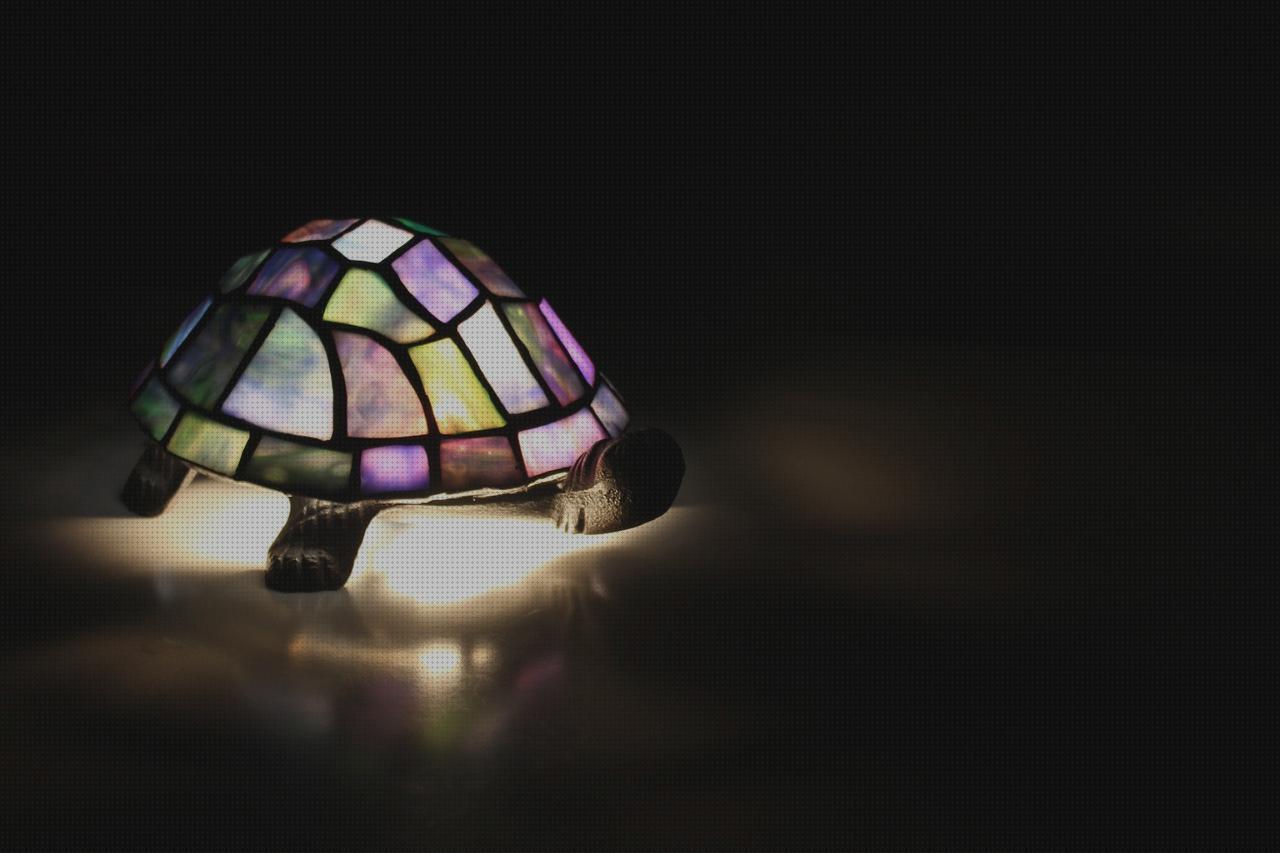 ¿Dónde poder comprar Más sobre lámpara matamoscas lampara linterna lampara tortuga?