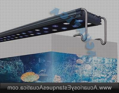 Las mejores marcas de led acuarios Más sobre led comprar fita led led acuario marino