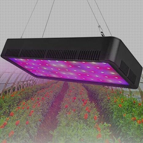 Los 27 Mejores leds 600 w floracion