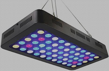 23 Mejores leds acyario marinos del mundo