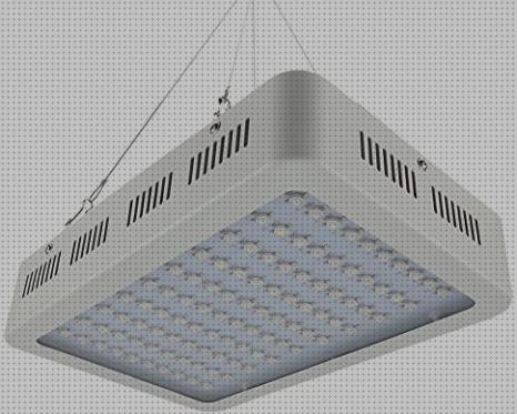 ¿Dónde poder comprar Más sobre leds pequeños leds leds growing?