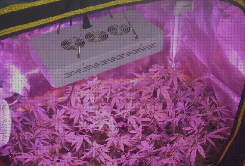 Las mejores Más sobre luces led encastrar luces led led luces led autocultivo