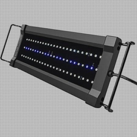 ¿Dónde poder comprar Más sobre bombilla led antimosquito explotacion Más sobre joyero con led Más sobre led beneito faure nycrew luz led acuario?