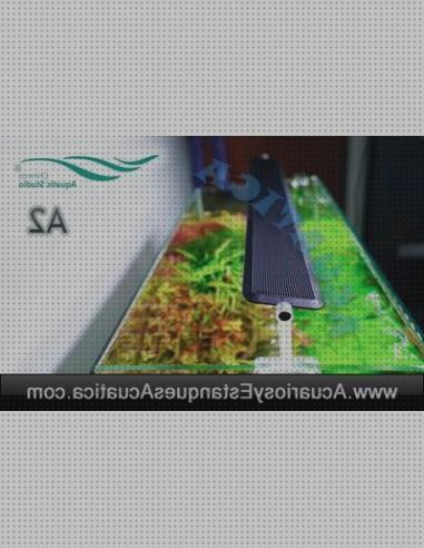 Las mejores pantalla led led pantalla led acuario plantado