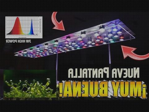 Opiniones de las 10 mejores Pantallas Led Acuarios Plantados