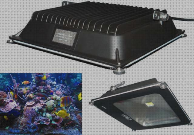 Review de tiras led acuario marino