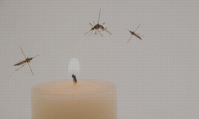 Review de velas antimosquits